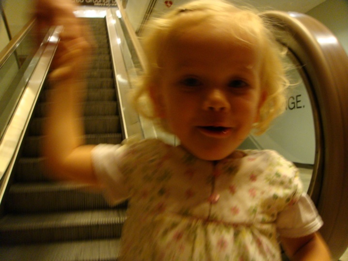 Datei:Chicago dsc00765-k.jpg