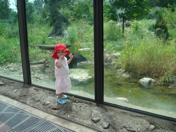 Datei:Chicago dsc00579-k.jpg